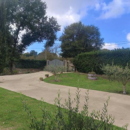 Tenuta Quadrone Cura di Vetralla Ngoại thất bức ảnh