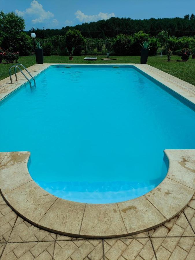 Tenuta Quadrone Cura di Vetralla Ngoại thất bức ảnh